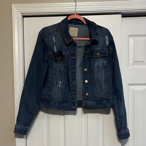 Celebrity Pink Blue Denim Jacket